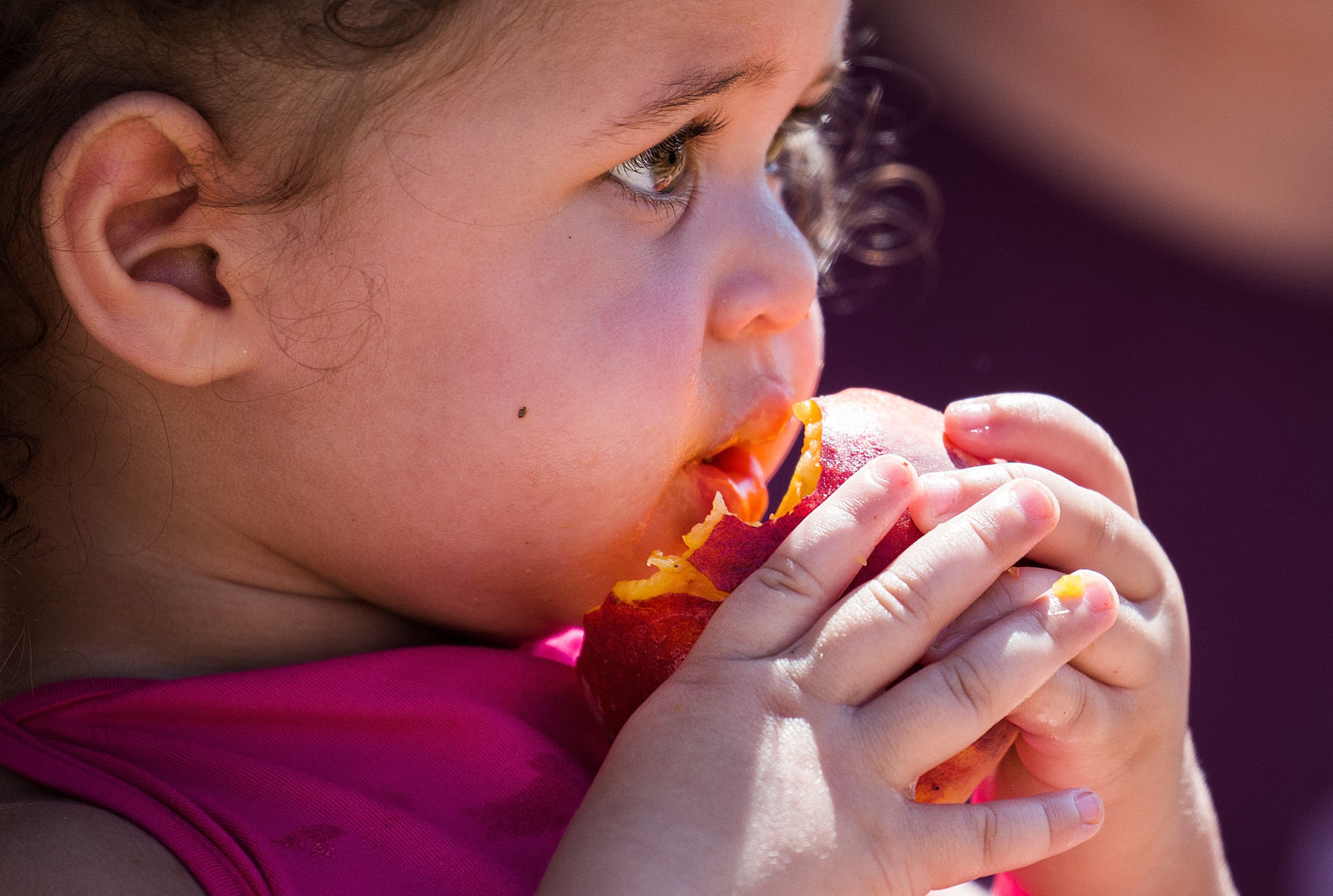 Peach Mania at Apple Annie's